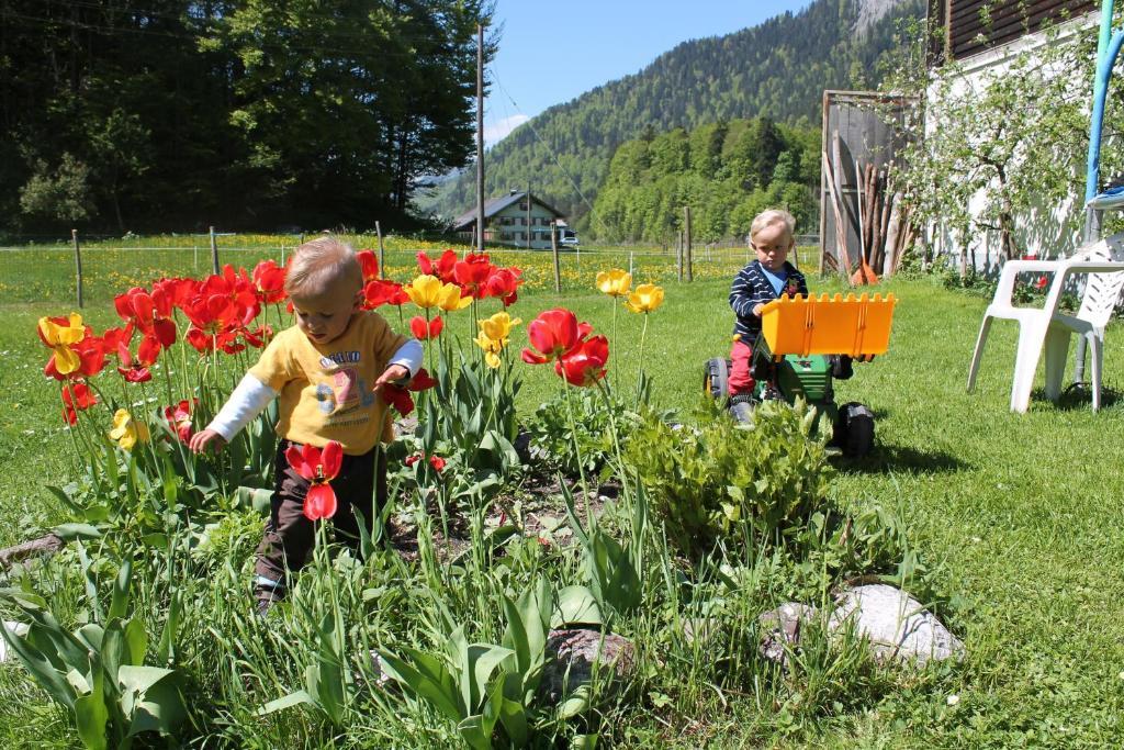 Ferienwohnungen Sutter Au (Vorarlberg) Екстер'єр фото