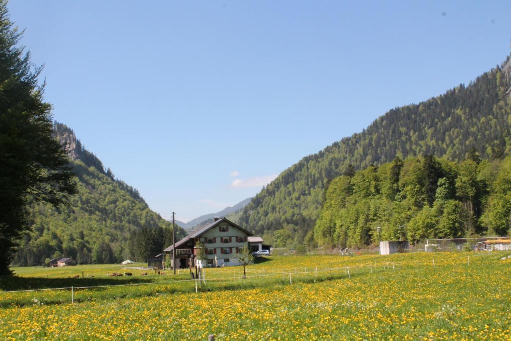 Ferienwohnungen Sutter Au (Vorarlberg) Екстер'єр фото
